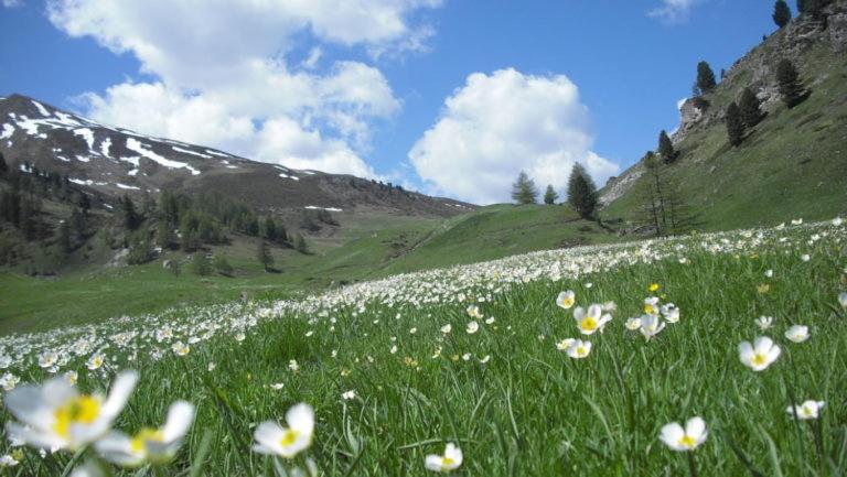 استودیوی لوکس, I Fiori Del Pollino   Guest House