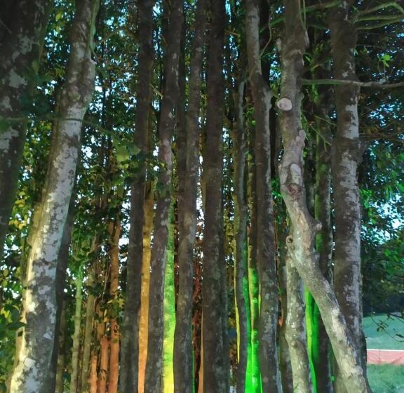 آپارتمان 1 خوابه با چشم‌انداز, I Fiori Del Pollino   Guest House