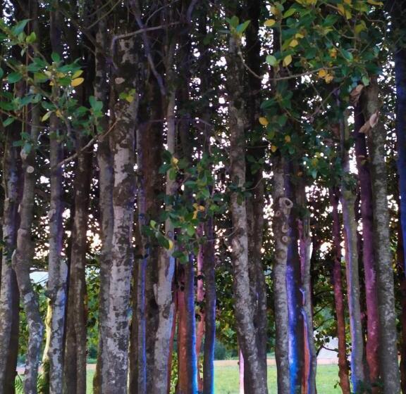 استودیوی لوکس, I Fiori Del Pollino   Guest House