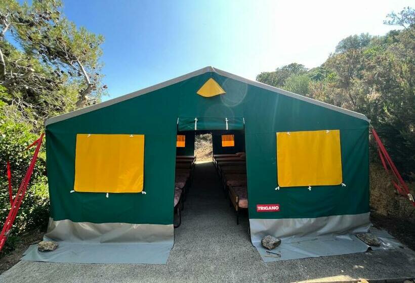 Standard Tent, Relais International De La Jeunesse