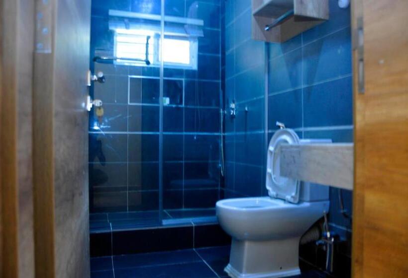 سوییت اجرایی, Lit Suites