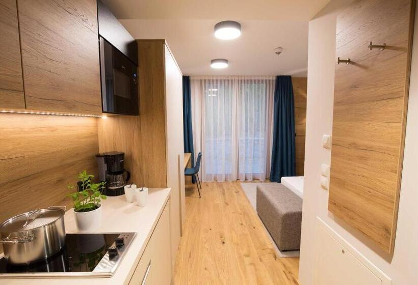 إستوديو قياسى, Leo Apartments Miesbach