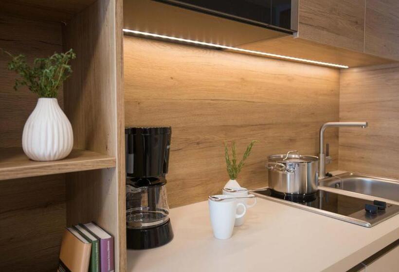 إستوديو سوبيريور, Leo Apartments Miesbach