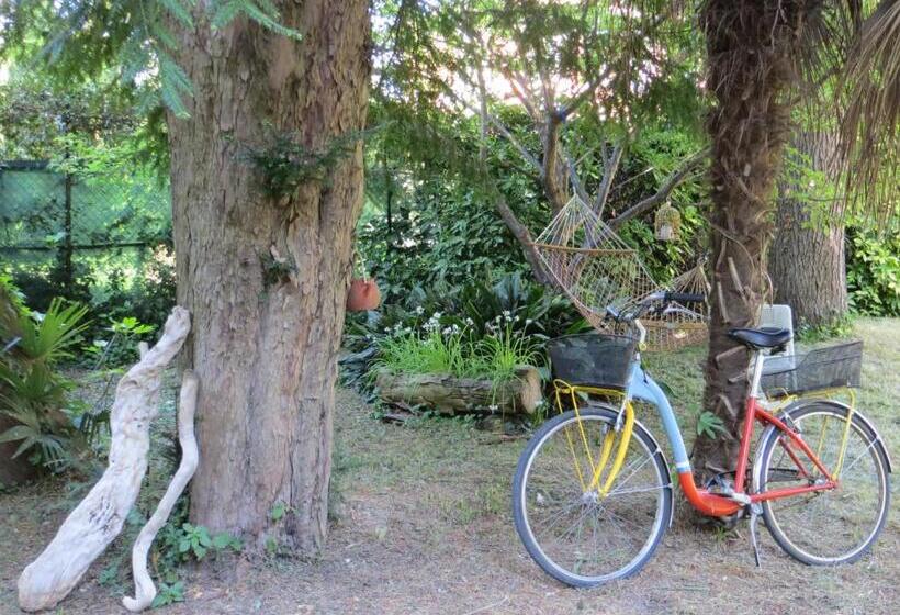 اتاق استاندارد سه نفره, Villa Elisabetta