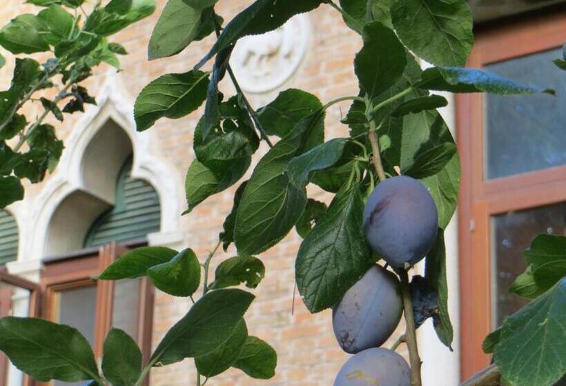 اتاق استاندارد سه نفره, Villa Elisabetta