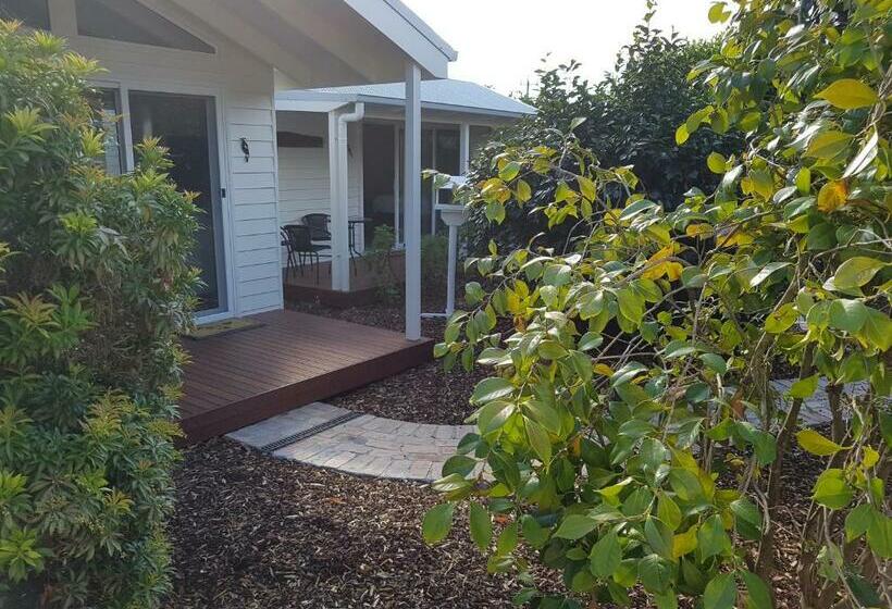 デラックススタジオ, Alkira