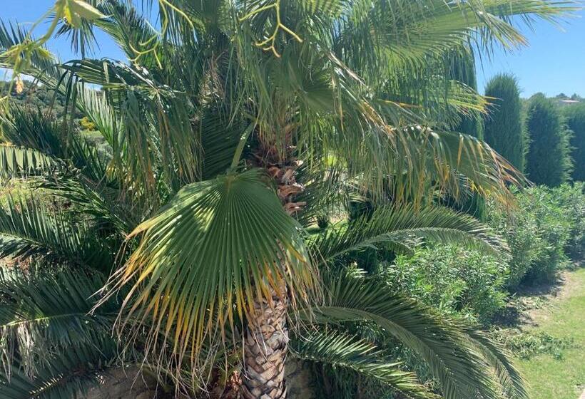 חדר סופריור עם מיטת קינג, Domaine La Condamine Crillon Le Brave