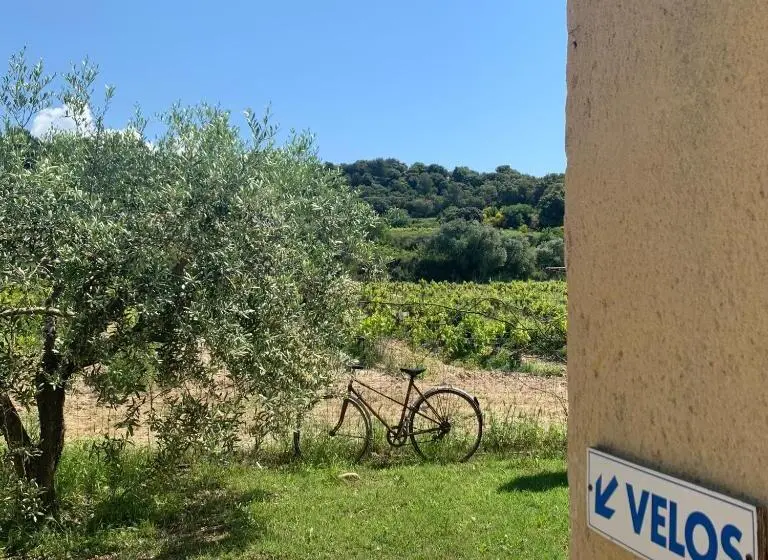 庭の見えるシングルルーム, Domaine La Condamine Crillon Le Brave