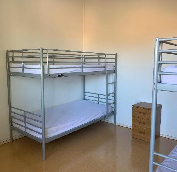 تختخواب در اتاق مشترک, Roey Backpackers And Party Bar