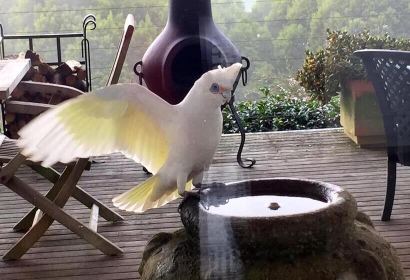 جناح غرفتين نوم, Llarrinda Bed & Breakfast