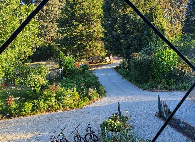 סוויטה נוף לגינה, Oaktree Guest House