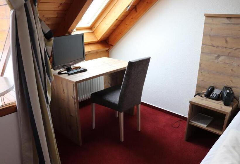 Standard Yhden Hengen Huone, Strandhaus Hagnau