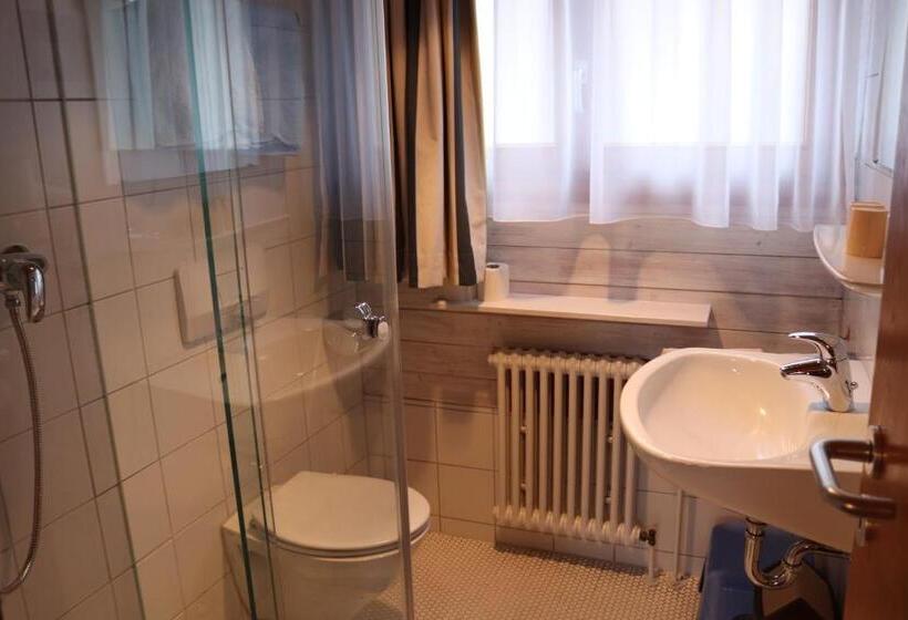 1 Bedroom Apartment Lake View, Strandhaus Hagnau