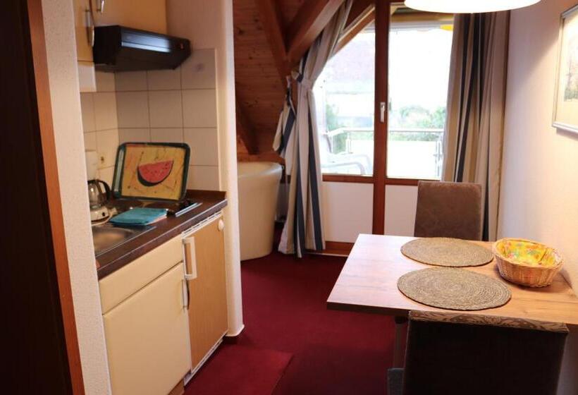 1 Bedroom Apartment Lake View, Strandhaus Hagnau