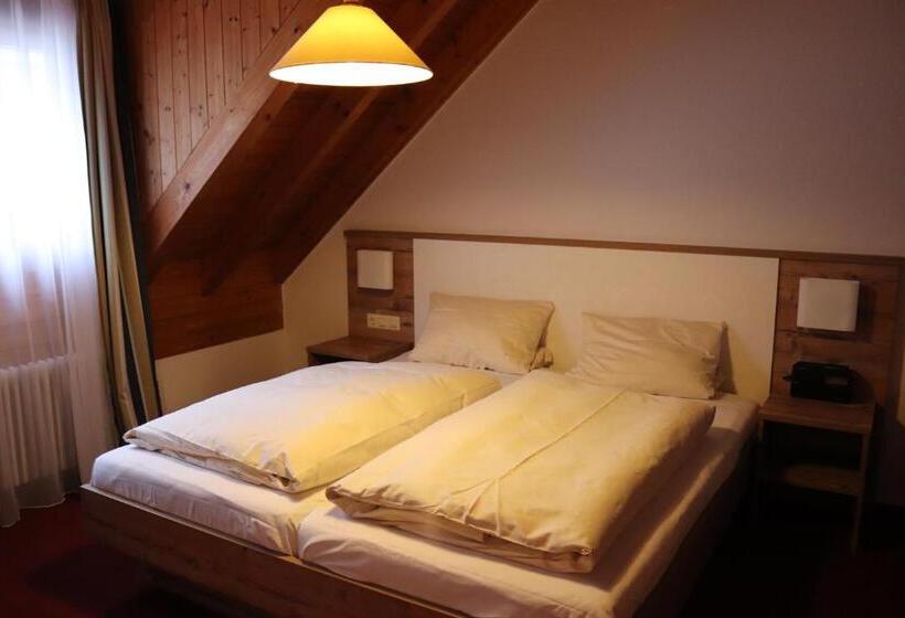 1 Bedroom Apartment Lake View, Strandhaus Hagnau