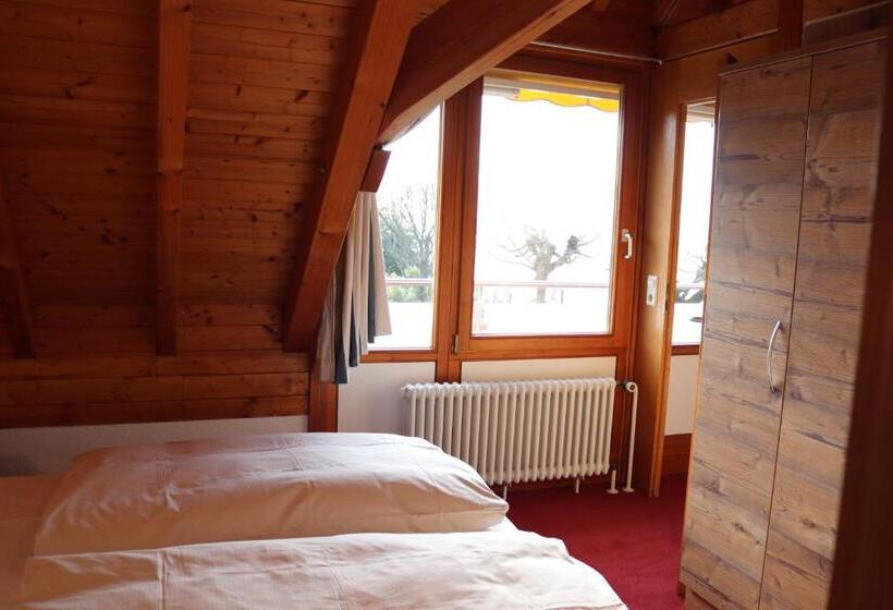 1 Bedroom Apartment Lake View, Strandhaus Hagnau