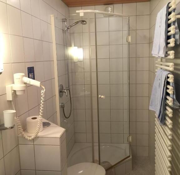 Standard-huone Järvinäkymä, Strandhaus Hagnau