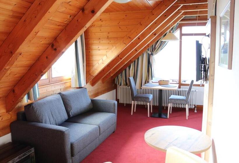 1 Bedroom Apartment Lake View, Strandhaus Hagnau