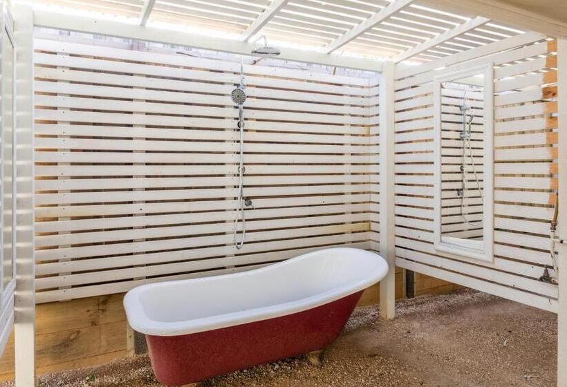 4间卧室的房子, Torquay Hotel/motel