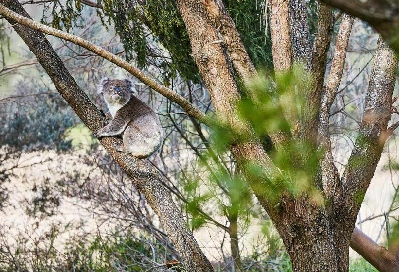 דירת חדר, Great Ocean Walk Retreat