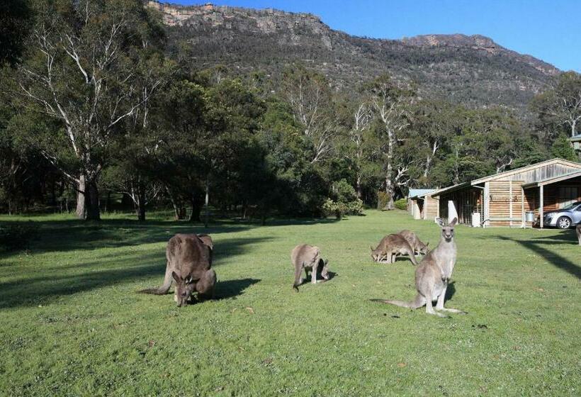 Вилла 1 Спальня, Halls Gap Log Cabins