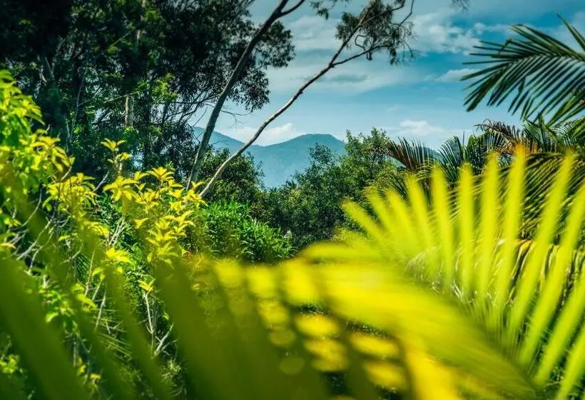 ３ベッドルームハウス, Bella Vista Bellingen