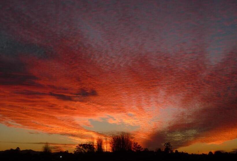 חדר דלוקס, City Centre Motel Kempsey