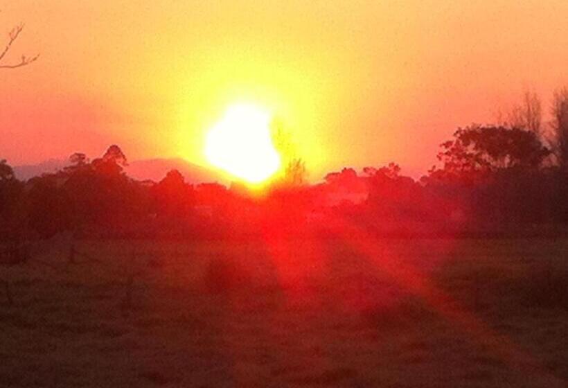 סוויטת אקזקיוטיב, עם מיטת קינג, City Centre Motel Kempsey