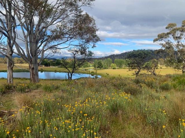 شاليه غرفة نوم واحدة, Heimat Farmstay