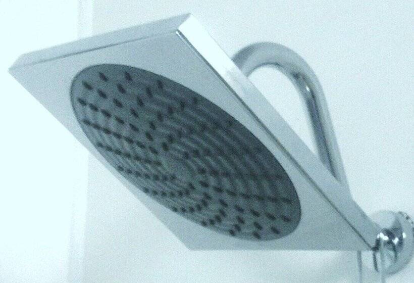 Номер Стандарт Индивидуальный, The Colliefields