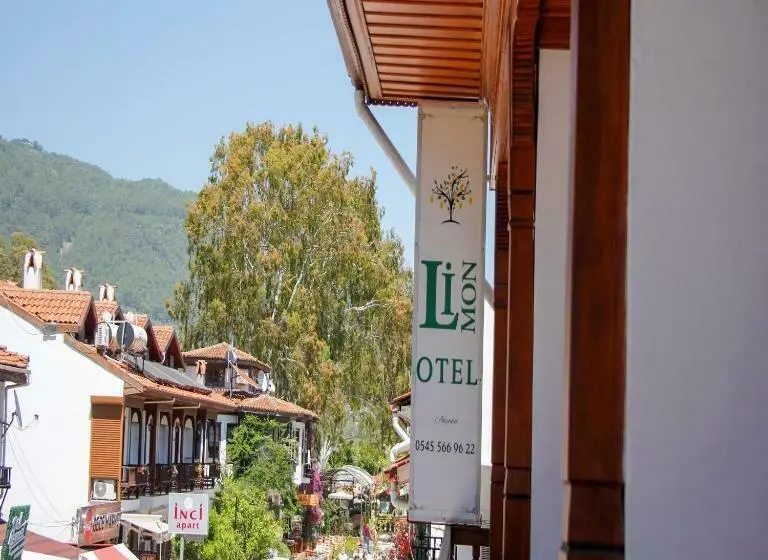 Camera Standard con Balcone, Limon Otel