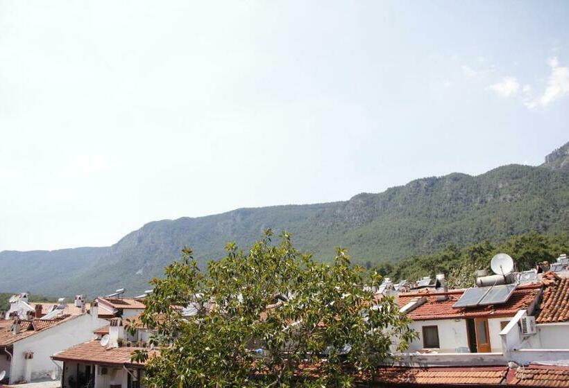 جناح مزوَّد بشرفة, Limon Otel