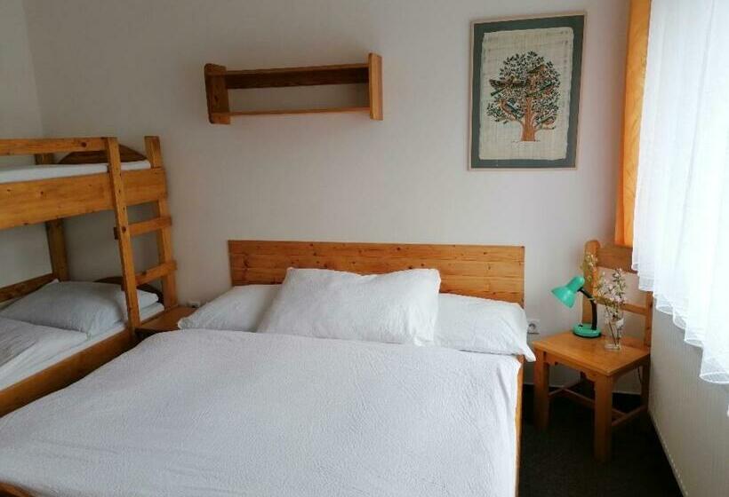 غرفة قياسية رباعية, Otevřená Náruč Pension