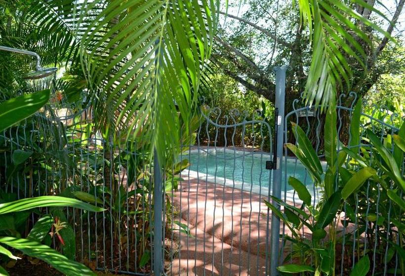 스탠다드 방갈로, Sejala Beach Huts