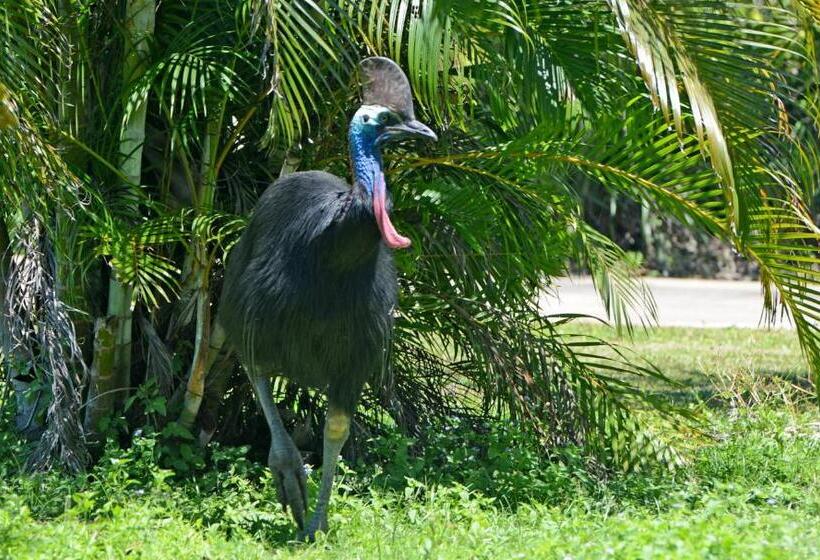 스탠다드 방갈로, Sejala Beach Huts