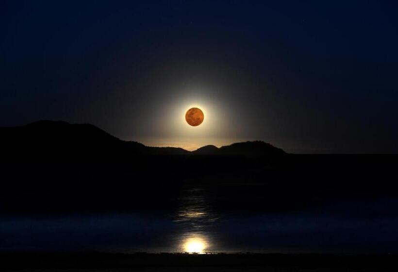 스탠다드 방갈로, Sejala Beach Huts