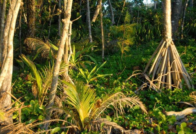 스탠다드 방갈로, Sejala Beach Huts