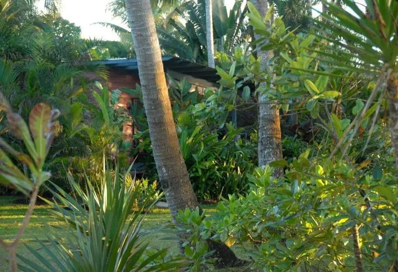 スタンダードバンガロー, Sejala Beach Huts