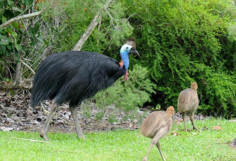 스탠다드 방갈로, Sejala Beach Huts