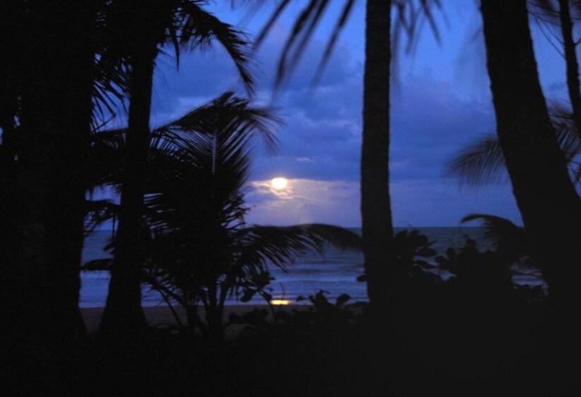 스탠다드 방갈로, Sejala Beach Huts