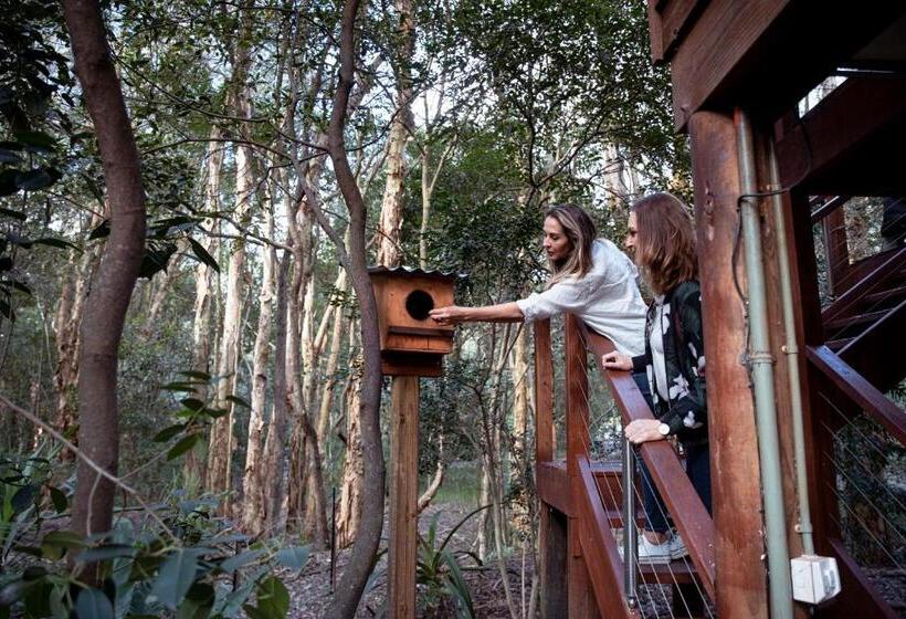 スタンダードスタジオ, Wanderers Retreat