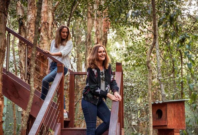 スタンダードスタジオ, Wanderers Retreat