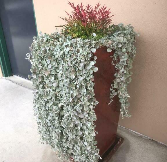 חדר סטנדרט, The Bakehouse Motel