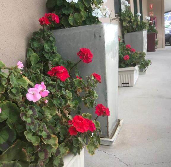 חדר סטנדרט, The Bakehouse Motel