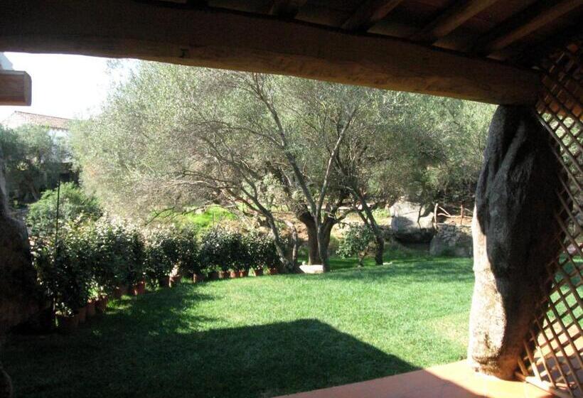 غرفة قياسية, Il Vecchio Ginepro