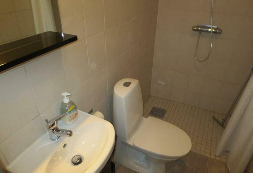 غرفة قياسية, Mannflogården Bed & Breakfast , Sälenfjällen