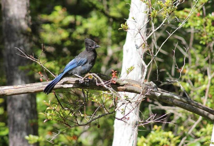 套房, Cobble Wood And Bird Sanctuary Guest Houses