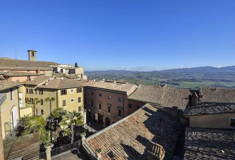 Juniorsviitti, Fonte Cesia