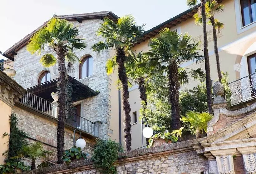 Juniorsviitti, Fonte Cesia