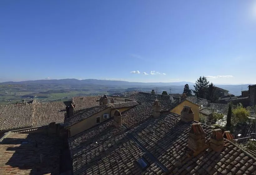 Juniorsviitti, Fonte Cesia